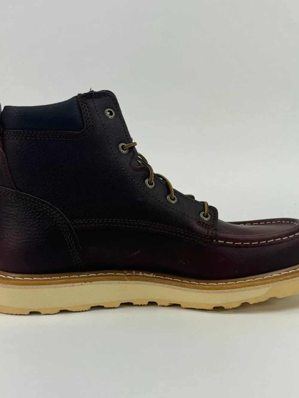 Irish Setter Ashby 6